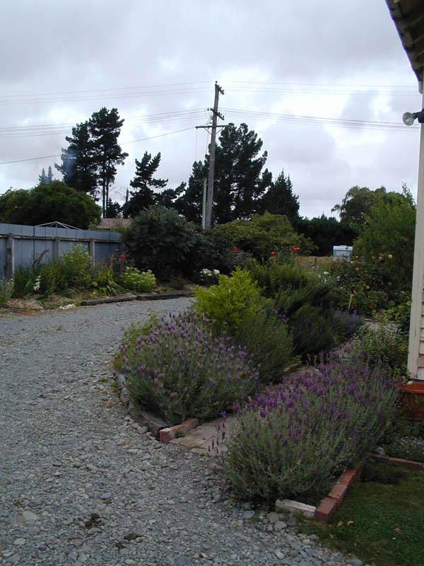 Jeanette'sGarden
