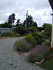 Jeanette'sGarden