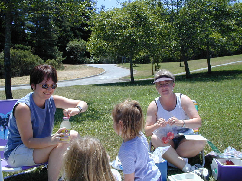 Picnic Lunch