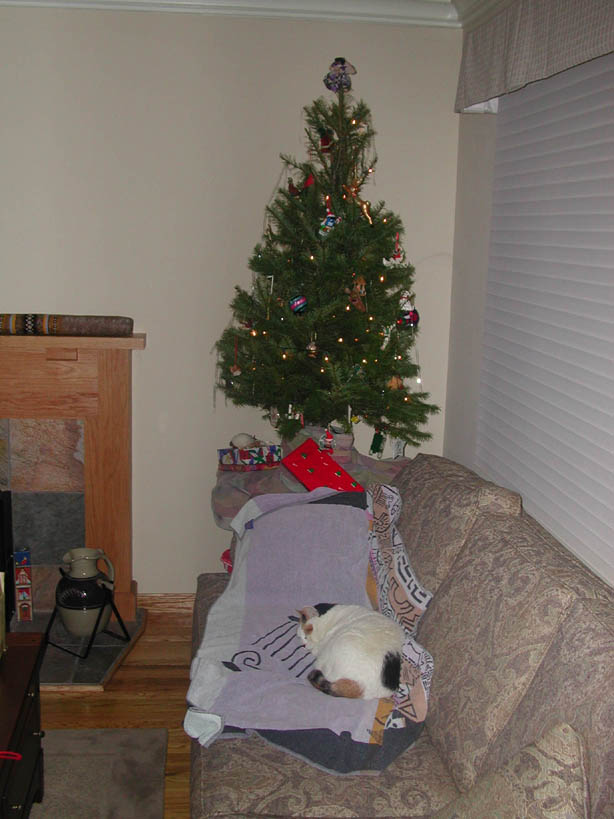 Kitty and Tree