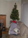 Kitty and Tree