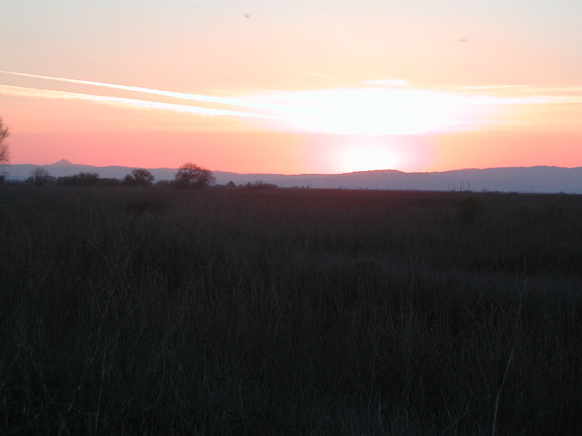 Sunset 1