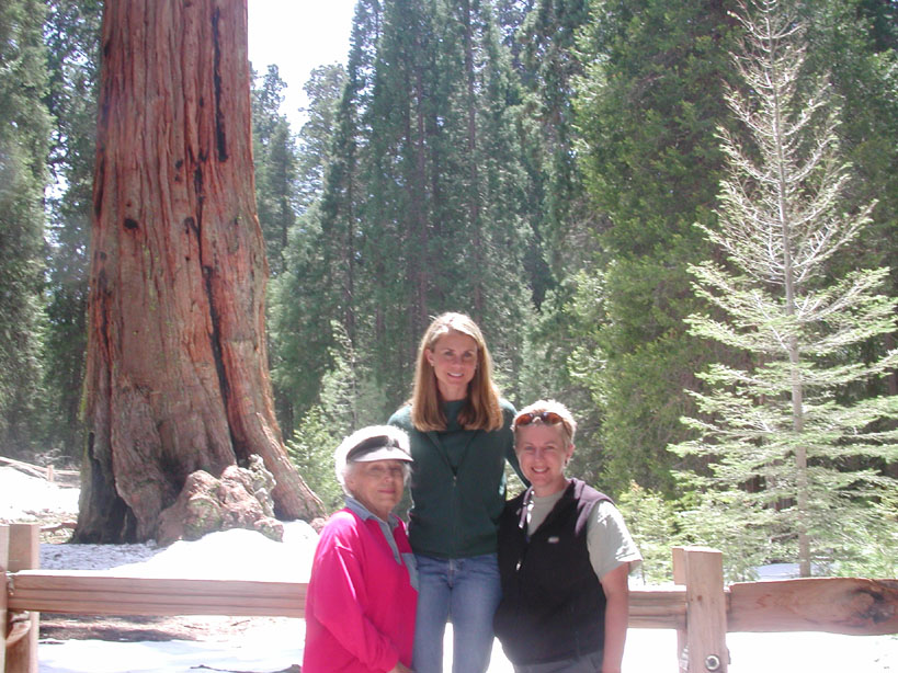 Trees - Edith, Laura, Mary
