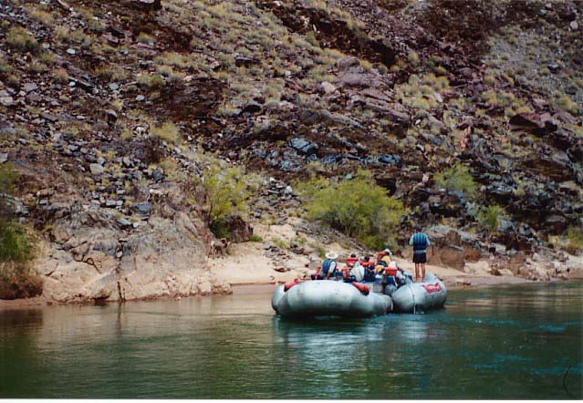4BigHorn