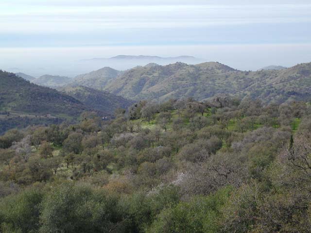 Land View 2