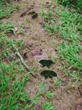 DSCN2443