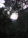 DSCN2459
