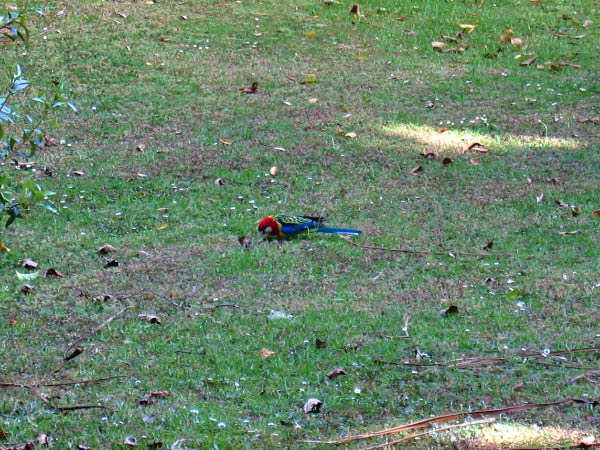 IMG_0735_edited