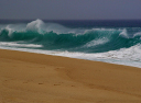 DSC01666
